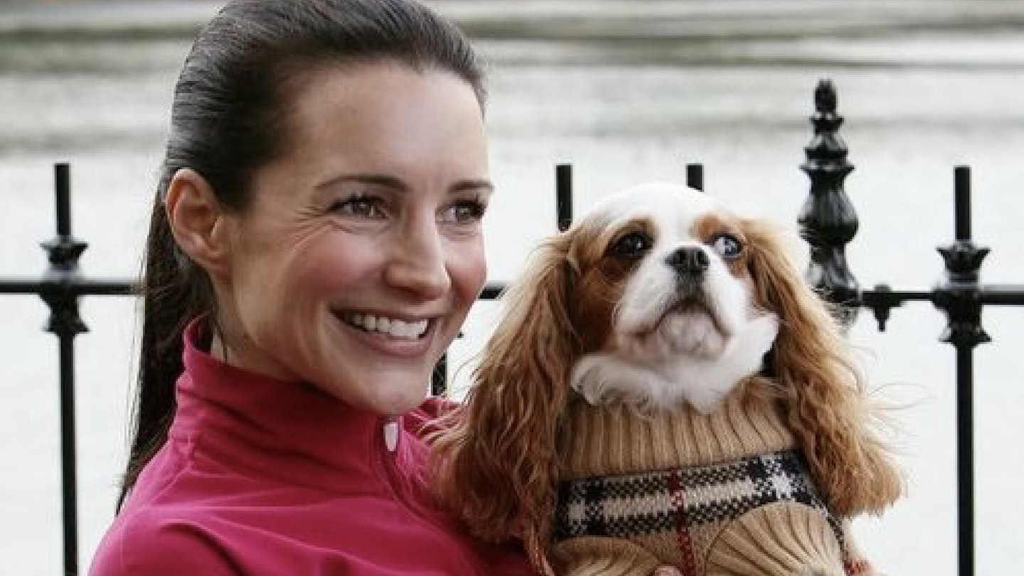 Charlotte cavalier best sale king charles spaniel